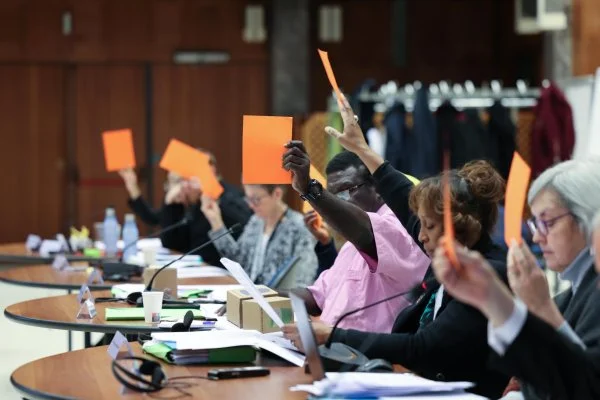 Members display their consensus cards on the closing day of the meeting of the new Executive Committee of the World Council of Churches. All committees and commissions of the WCC operate by consensus