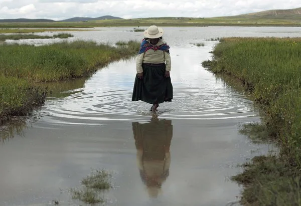 An indigenous woman is pictured in a file photo wading through floodwaters on a farm after heavy rains near La Paz, Bolivia