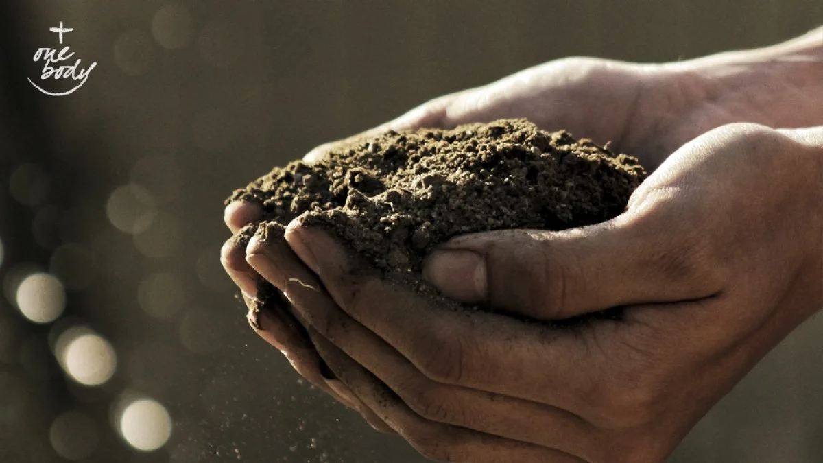 Tending the garden of Christian unity