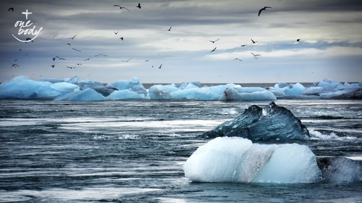 Care for Creation and Climate Justice: An Ecumenical Witness of Hope