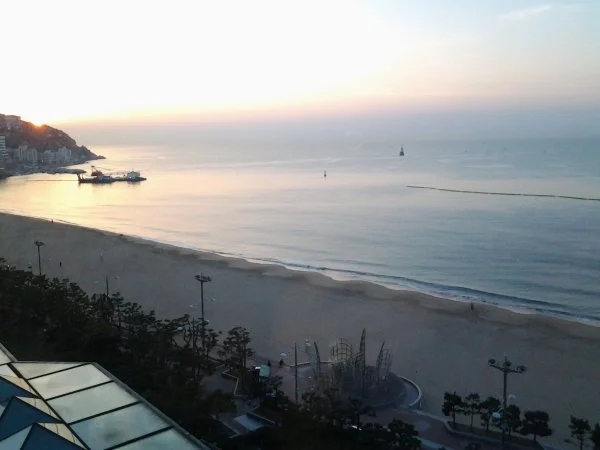 The view from my hotel window