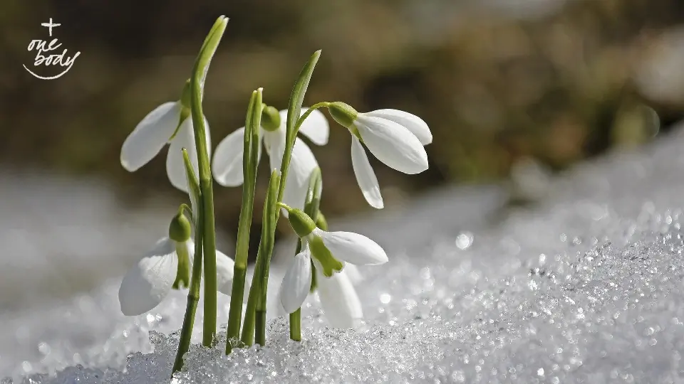 Six signs of an ecumenical springtime