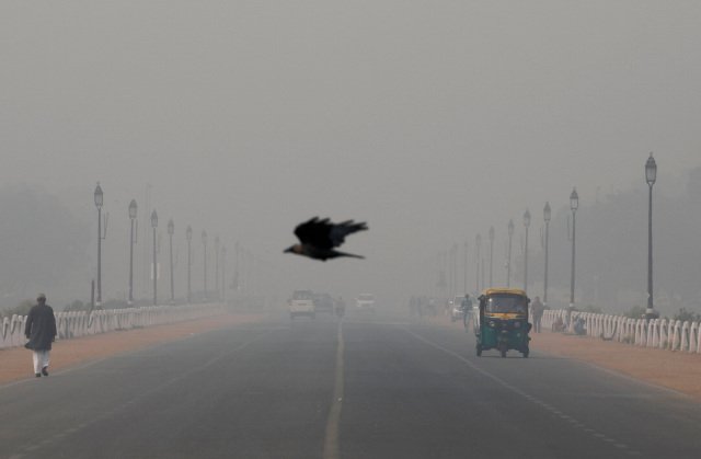 A bird flies through smog in New Delhi, India, Nov. 13, 2019. Pope Francis told participants at a Vatican City conference on criminal justice Nov. 15, that there are plans to include a definition of ecological and other “psycho-social phenomenon” hate sins in the Catechism of the Catholic Church