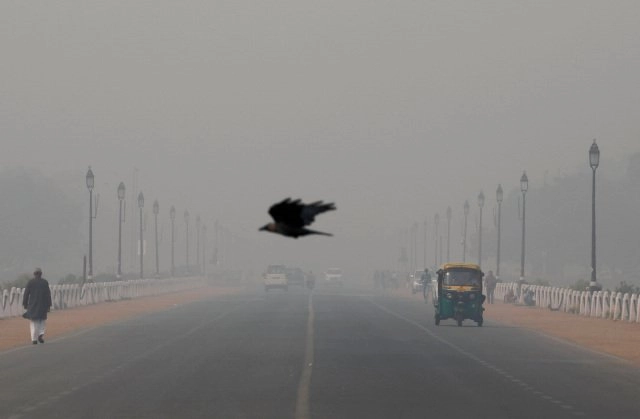 A bird flies through smog in New Delhi, India. Pope Francis told participants at a Vatican City conference on criminal justice Nov. 15, that there are plans to include a definition of ecological and other “psycho-social phenomenon” hate sins in the Catechism of the Catholic Church