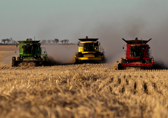 Gathering God's Harvest. Three combines are pictured gathering grain at harvest time