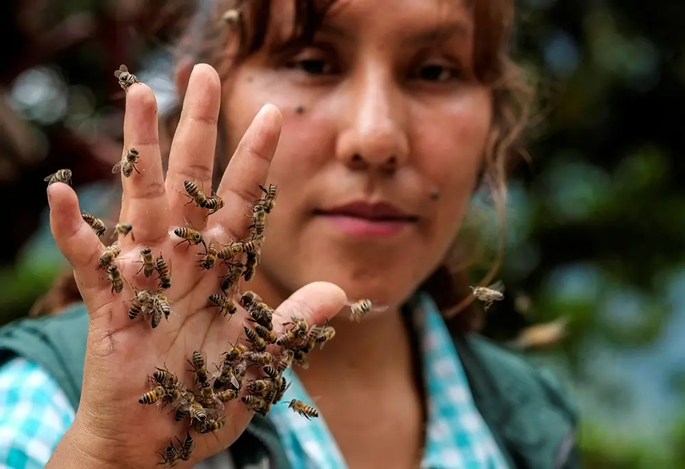 Cynthia Callizaya shows honey bees on her hand at her 'Las Orquideas' (The Orchids) sanctuary in Bolivia’s Yungas forest. Callizaya and her husband, zootechnical engineering vet Eric Paredes, are moving honey bees to a sanctuary they created to address a staggering decline in the insects’ colonies due to deforestation and coca farming, which has encroached on their habitat